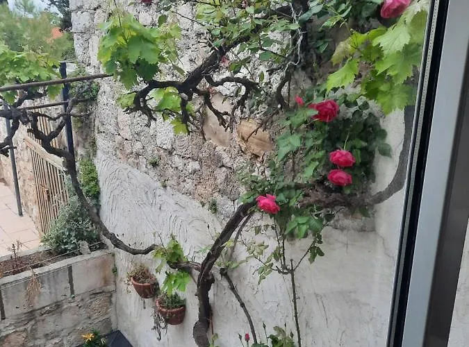 Old Town Rab Ivana